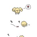 베베곰