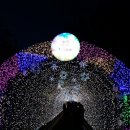 여수 거북공원 불빛축제... 이미지
