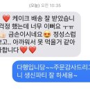 플로리도케이크 이미지