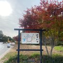 여주-0189 이미지