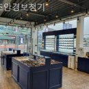 오즈안경 이미지