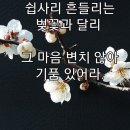 매화 이미지