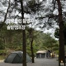 솔밭캠프장 | 강원도 영월 캠핑클럽 촬영지 솔밭캠프장 당일 예약 방법 편의시설 화장실 후기