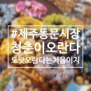 청춘이오란다 | 제주 동문시장 기념품 | 색다른 오란다를 만날 수 있는 청춘이 오란다 후기