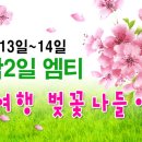 ◑ [ 남이섬 벚꽃나들이 + 와인파티 엠티 ] ◑ 4월13일~14일 - 1박2일~ 4륜바이크, 번지점프까지 ◑ (부제 : 이성과함께 짜릿하고 즐거운 봄소풍여행 ) 이미지