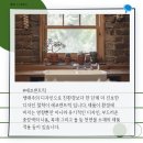 에코센트릭