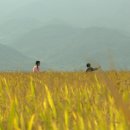 백전초교 이미지