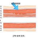 폼롤러필라테스 이미지