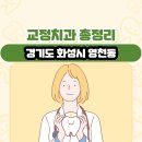 이플치과의원 | 경기도 화성시 영천동 교정치과 총정리