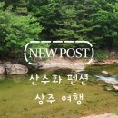 산수화펜션 | [경북 상주 펜션] 바로 앞 청정 계곡에서 물놀이하기 좋은 '산수화 펜션' 후기