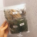 원칸통상 | [토끼 키우기] 국내 토끼 용품 샵