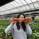 정명농장 이미지