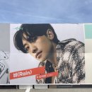 230923 칠포 페스티벌