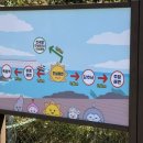 감추사입구주차장 | 동해 새해 해돋이 시간대 및 명소 일출 구경하러 가기 좋은바다 한섬해수욕장 주차장 명당