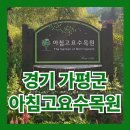 꽃세상 | [경기 가평군] 아침고요수목원 봄꽃페스타 후기 | 알록달록 꽃세상 가족 나들이