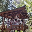 용인대푸른태권도 이미지