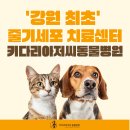 키다리아저씨 동물병원 이미지