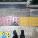 2025 지구런 마라톤 참가 후기: 뜻깊은 완주 성공