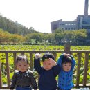 마당지 이미지
