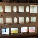 성지애견 이미지