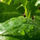 솔내음농장 이미지