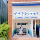 물금 카페 파랑이 가득한 양산 블루밍던커피