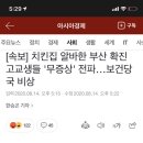 치킨집 알바한 부산 확진 고교생들 '무증상' 전파…보건당국 비상 이미지