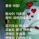 그리다B 이미지