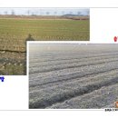 중호농장 이미지