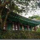 원황룡 Daum카페