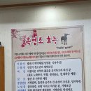 나무집 | 마석 삼계탕 맛집 단풍나무집 후기｜50명 단체모임도 거뜬했던 남양주 화도읍 보양식 맛집 🍲