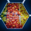 (사)서울신체장애인복지회 이미지