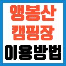 앵봉산 가족캠핑장 솔직 후기 – 예약, 구역, 명당까지