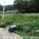 언도리농장 Daum카페