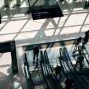 정미경 행정사 사무소 이미지