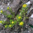 기린초등학교 이미지