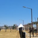 꿀독 | [평택] (구)오구구(현)꿀독_애견호텔 1박_이용후기