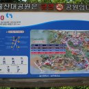 대공원시장 이미지