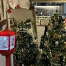 레이지베어 이미지