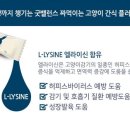 (주)펫둥이 이미지