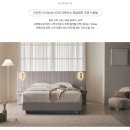대구 금성침대 매트리스 전문점 [ 달서구 용산동 보람타운 ] KS1245 그래버티