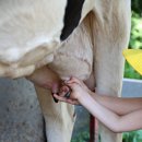 즐거운목장 이미지