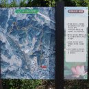 함양---최치원 산책길,백암산(622.6m) 이미지