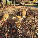 암사역사공원 이미지