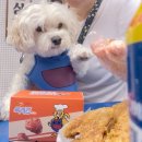 멍냥잡화점 | 강아지동반 하림더리얼 장하다 하림 맥시칸 성수 팝업스토어