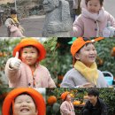 하영농장 이미지