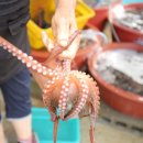 거제회센타 이미지