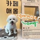 크로플각 지축점 | [지축] 지축애견카페 : 카페애몽 야외운동장 수영장까지!