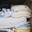 옷나라이불세상 | 아이옷정리 고민 끝 이불정리파우치 정리함이 알려준 옷정리노하우