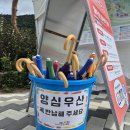 월아산 체육장 1(중간) | 부산근교 가볼만한곳 사진보다 예뻤던 월아산숲속의진주 수국축제
